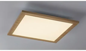 Rabalux 6907 stropný LED panel