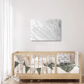 Sklenený obraz - Pampas grass N⁰2 (70x50 cm)