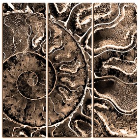 Obraz na plátne - Textúra fosílie - štvorec 3174FB (105x105 cm)