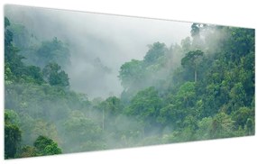Obraz - Ranná hmla (120x50 cm)