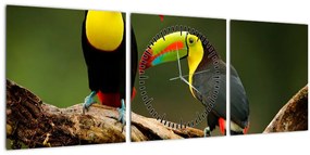 Obraz sediacich tukanov, Costa Rica (s hodinami) (90x30 cm)