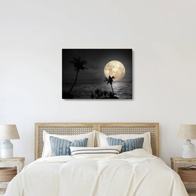 Obraz - Pláž za splnu v šedých tónoch (70x50 cm)