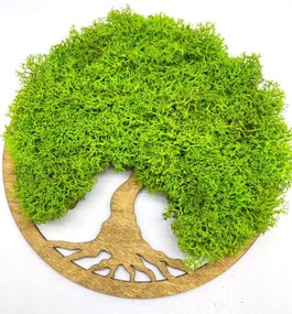 Strom na stenu z machu Bell 20 cm