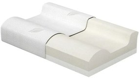 Vankúš Formosa 50x40x12 Aa