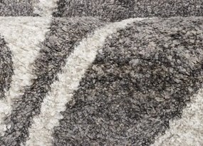 Koberce Breno Kusový koberec CASTRO Carved 162/NQ2F, viacfarebná,160 x 235 cm