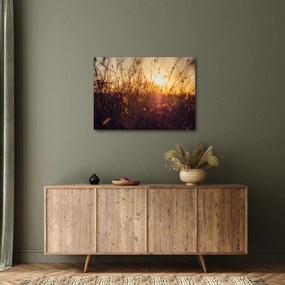 Obraz poľa pri západe slnka (70x50 cm)