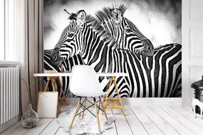 Fototapeta - Zebra (254x184 cm)