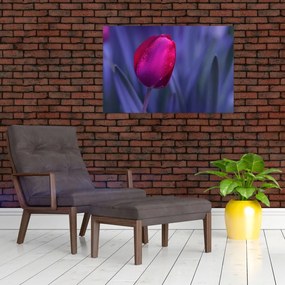 Obraz pupete tulipánu (90x60 cm)