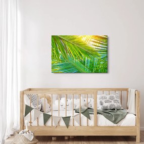 Obraz - Palmové listy (90x60 cm)