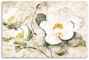Gario Obraz na plátne Príroda s bielymi kvetmi Rozmery: 100 x 70 cm