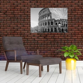 Obraz - Koloseum v Ríme, čiernobiele (90x60 cm)