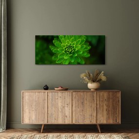 Obraz ihličnanu (120x50 cm)