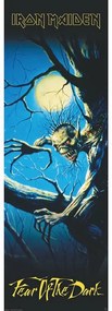 Plagát, Obraz - Iron Maiden - Fear of the Dark, (53 x 158 cm)