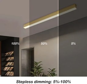 BRILAGI - LED stmievateľné stropné svietidlo SLEEKLINE LED/40W/230V Wi-Fi Tuya zlaté+diaľkové ovládanie