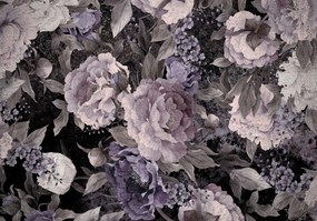 Fototapeta - Kvety Pivoňka (152,5x104 cm), 10 ďalších rozmerov