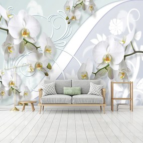 Fototapeta - Orchidea (254x184 cm)