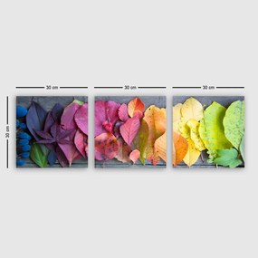 Súprava obrazov LEAVOS 3 ks viacfarebná