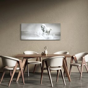 Obraz - Biely kôň (120x50 cm)