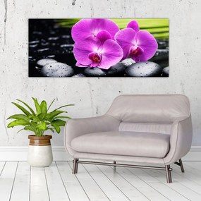 Obraz - Orchidey (120x50 cm)