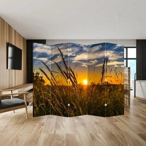 Paraván - Pole pri západe slnka (210x170 cm)