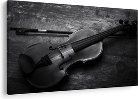 Obraz - Viola (90x60 cm)