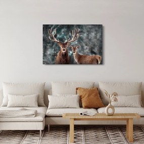 Obraz - Jeleň a laň v zasneženom lese (90x60 cm)