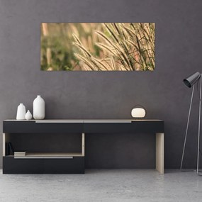 Obraz - Obilie (120x50 cm)