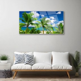 Skleneny obraz More palma stromy príroda 125x50 cm