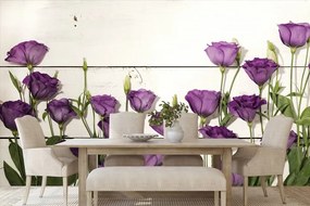 Fototapeta nádherné fialové kvety - 300x200