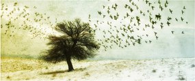 Obraz - Maľovaný kŕdeľ vtákov (120x50 cm)