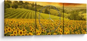 Obraz - Slnečnicové pole (s hodinami) (90x30 cm)