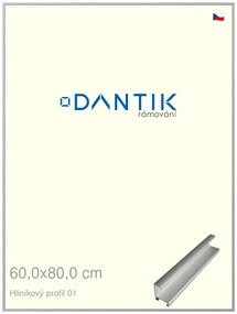 DANTIK rám na obraz 60x80 | ALU Stříbrná matná (Plexi Čiré)