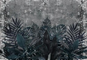 Fototapeta - Rastliny v tme (147x102 cm)