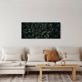 Obraz - Les (120x50 cm)