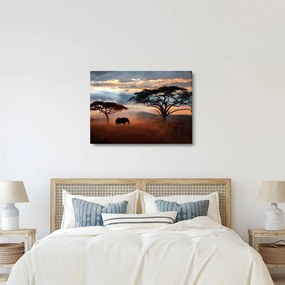 Obraz - Národný park Serengeti, Tanzánia, Afrika (70x50 cm)
