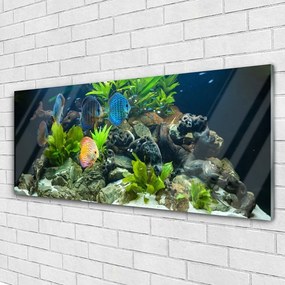 Obraz plexi Ryba kamene listy príroda 125x50 cm