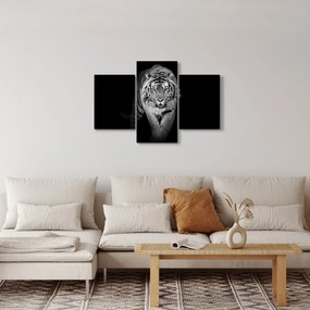 Obraz - Tiger so žltými očami (90x60 cm)