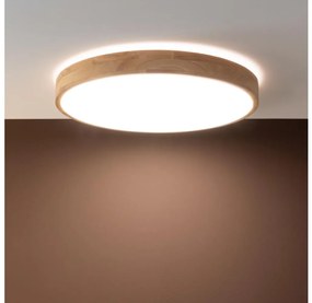 Brilliant - LED stmievané stropné svietidlo SLIMLINE LED/60W/230V + diaľkové ovládanie