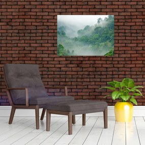 Sklenený obraz - Ranná hmla (70x50 cm)