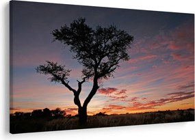 Obraz - Strom a červánky (90x60 cm)