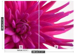 Fototapeta Vliesová Dahlia pink 104x70 cm