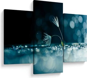 Obraz - Makro (90x60 cm)