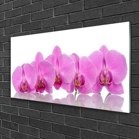 Skleneny obraz Ružová orchidea kvety 100x50 cm