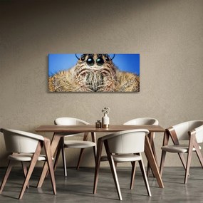 Obraz detailu pavúka (120x50 cm)