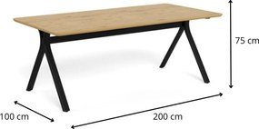 Jedálenský stôl Bristol 200 cm dub divoký