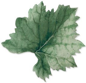 SADA 2 KS PRESTIERANIE NA STÔL SUMMER4 33X33 CM LISTY