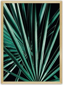 Plagát Dark Palm Tree