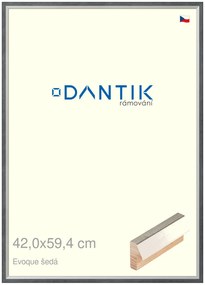 DANTIK rám na obraz 42x59,4 | EVOQUE šedá (Plexi Čiré)