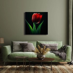 Obraz kvet tulipánu v noci
