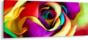 Obraz - Farebná ruža (120x50 cm)
